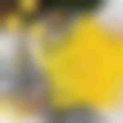 Rezalniki za piškote v obliki zvezd (6 kosov) | STARCUTS