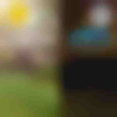 Solarne tropske vrtne luči | LUMIPALM