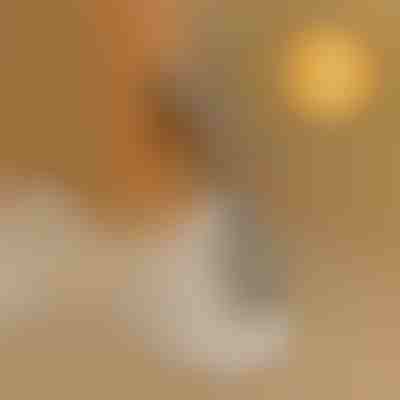 Pripomoček za obuvanje brez sklanjanja | SHOEVA